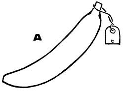 Banana A