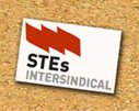 STES-i se convierte en la primera fuerza sindical
en la enseñanza pública