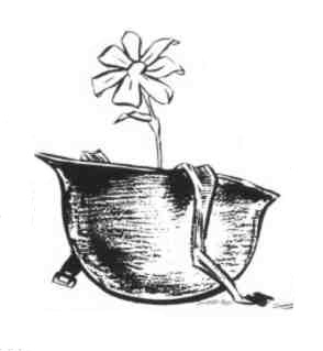 HISTORIA DE UNA BALA ESPECIAL