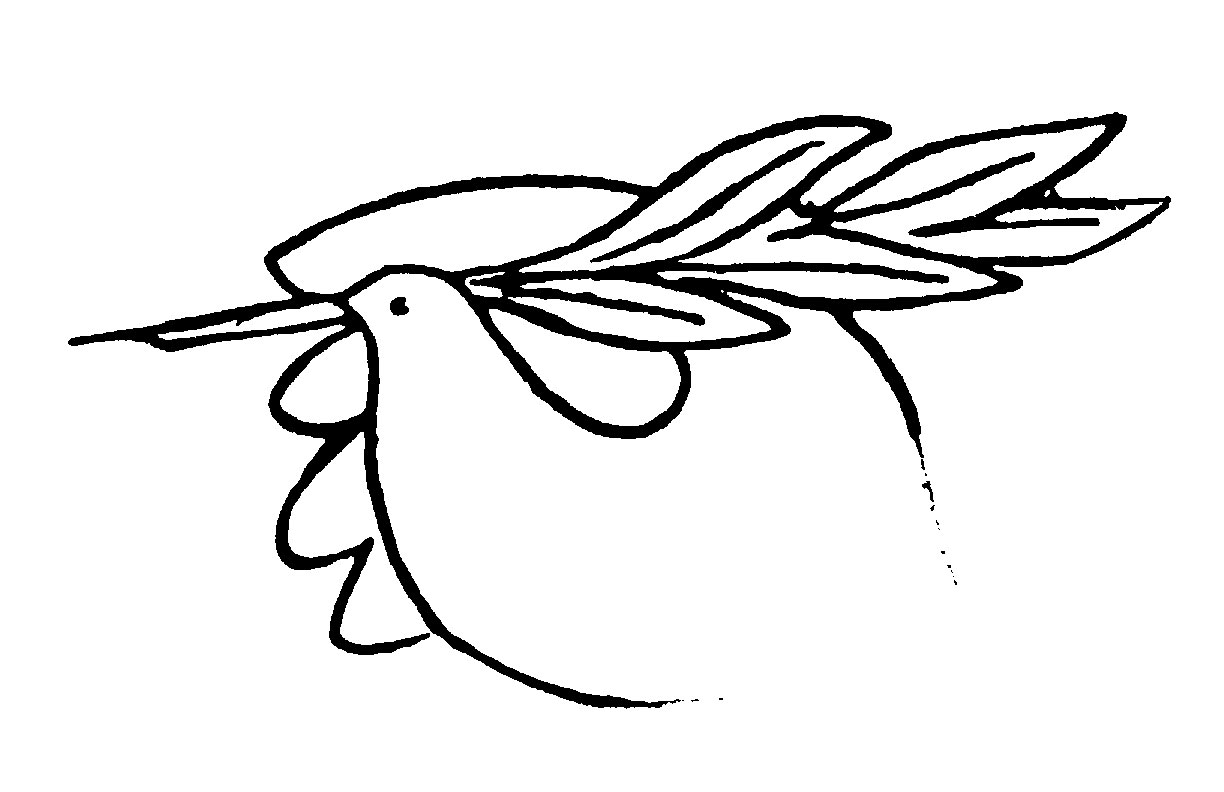 Educar en la NOVIOLENCIA.