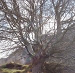 Israel: La “guerra” del Estado contra los jóvenes