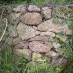 El valor de la desobediencia en Esperanza Aguirre, presidenta de la Comunidad de Madrid