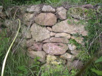 El valor de la desobediencia en Esperanza Aguirre, presidenta de la Comunidad de Madrid