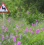 Cuando ya parecía que lo habíamos leído todo …