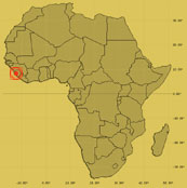 Los niños soldado y la responsabilidad española