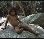 Paraíso Wintuka: Un grito a la concienciación