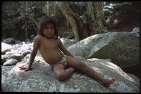 Paraíso Wintuka: Un grito a la concienciación