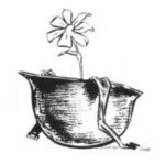 ALTERNATIVAS AL MILITARISMO