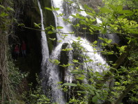 Educación para la Ciudadanía