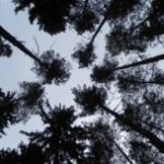 Nuevas masculinidades: «Si no mostraba agresividad y rabia, se reían de mí»