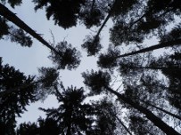 Nuevas masculinidades: «Si no mostraba agresividad y rabia, se reían de mí»