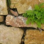 8 de marzo ¿para qué?