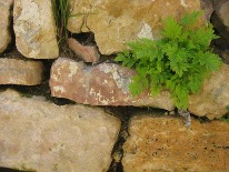 8 de marzo ¿para qué?