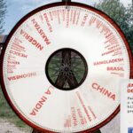 La Lotería de la Vida