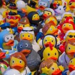 El pato en la escuela – Cuento sobre diversidad funcional