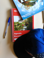 Dinámica – Juego de Rol: Mi novio quiere controlarme el WhatsApp