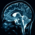 Cientos de películas en inglés que generan pensamiento crítico