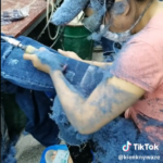 Obediencia ciega a la moda