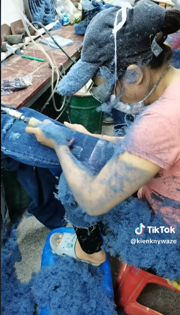 Obediencia ciega a la moda